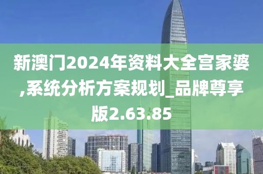 新澳门2024年资料大全宫家婆,系统分析方案规划_品牌尊享版2.63.85