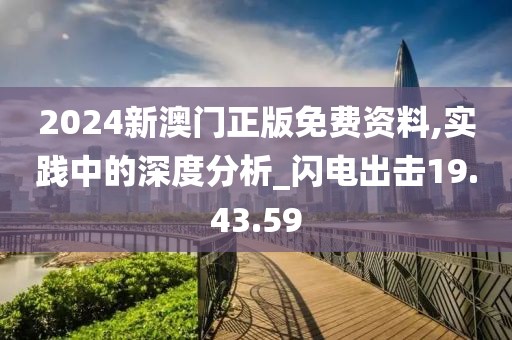 2024新澳门正版免费资料,实践中的深度分析_闪电出击19.43.59