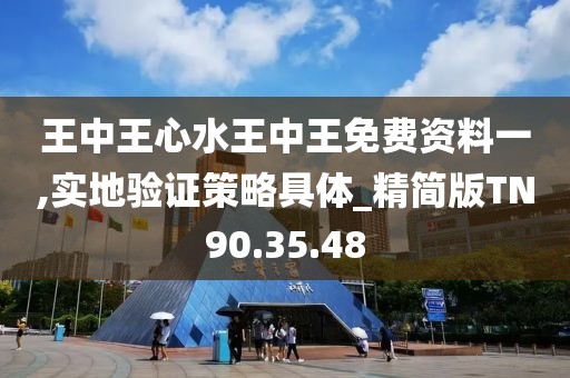 王中王心水王中王免费资料一,实地验证策略具体_精简版TN90.35.48
