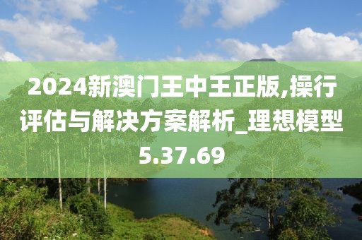 2024新澳门王中王正版,操行评估与解决方案解析_理想模型5.37.69