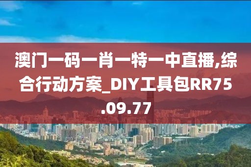 澳门一码一肖一特一中直播,综合行动方案_DIY工具包RR75.09.77