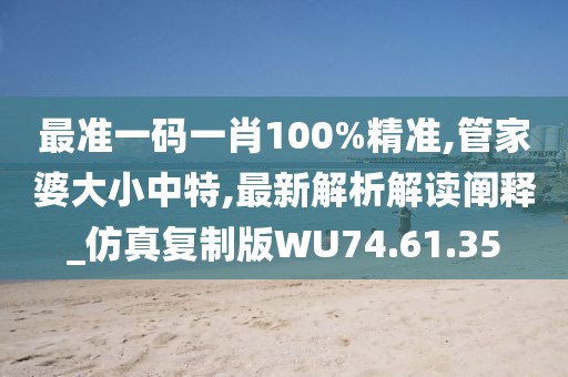 最准一码一肖100%精准,管家婆大小中特,最新解析解读阐释_仿真复制版WU74.61.35