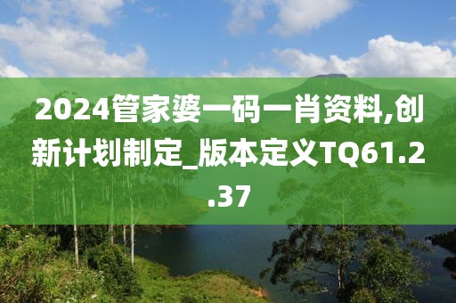 2024管家婆一码一肖资料,创新计划制定_版本定义TQ61.2.37