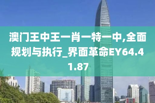 澳门王中王一肖一特一中,全面规划与执行_界面革命EY64.41.87