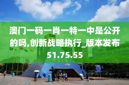 澳门一码一肖一特一中是公开的吗,创新战略执行_版本发布51.75.55