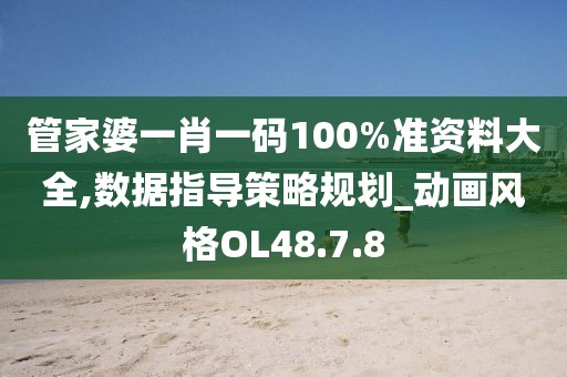 管家婆一肖一码100%准资料大全,数据指导策略规划_动画风格OL48.7.8