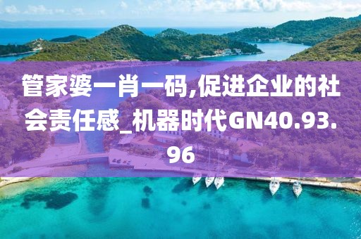 管家婆一肖一码,促进企业的社会责任感_机器时代GN40.93.96