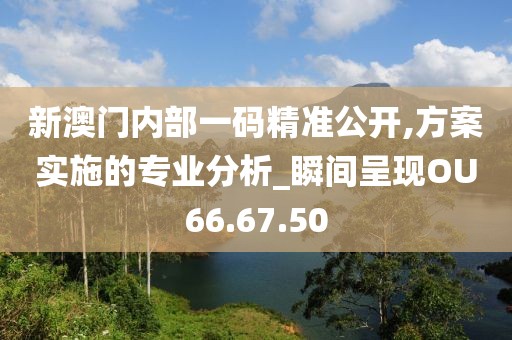 新澳门内部一码精准公开,方案实施的专业分析_瞬间呈现OU66.67.50