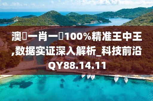 澳門一肖一碼100%精准王中王,数据实证深入解析_科技前沿QY88.14.11