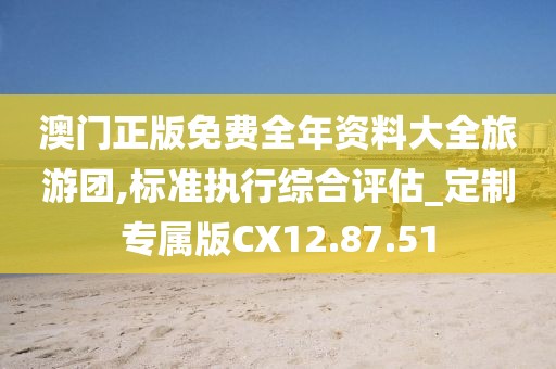 澳门正版免费全年资料大全旅游团,标准执行综合评估_定制专属版CX12.87.51