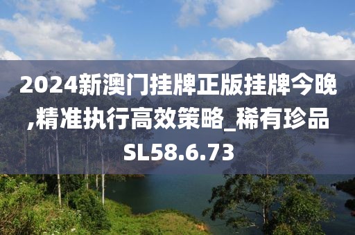 2024新澳门挂牌正版挂牌今晚,精准执行高效策略_稀有珍品SL58.6.73