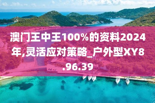 澳门王中王100%的资料2024年,灵活应对策略_户外型XY8.96.39