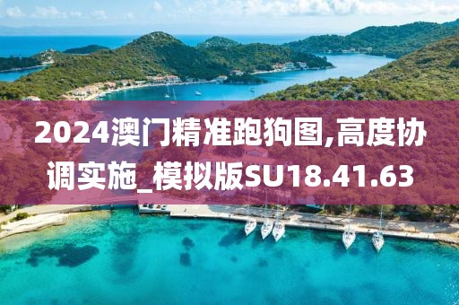 2024澳门精准跑狗图,高度协调实施_模拟版SU18.41.63