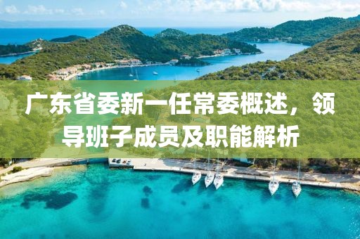 广东省委新一任常委概述，领导班子成员及职能解析