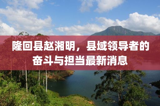 隆回县赵湘明，县域领导者的奋斗与担当最新消息