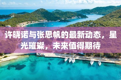 许晓诺与张思帆的最新动态，星光璀璨，未来值得期待
