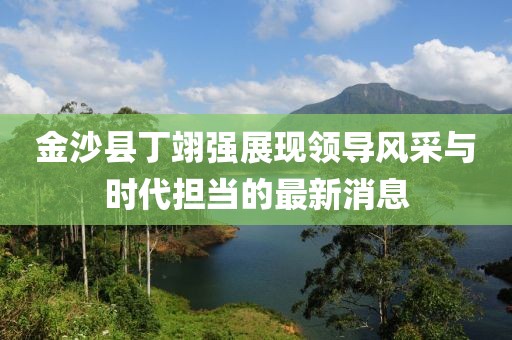 金沙县丁翊强展现领导风采与时代担当的最新消息