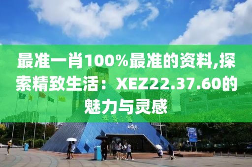 最准一肖100%最准的资料,探索精致生活：XEZ22.37.60的魅力与灵感