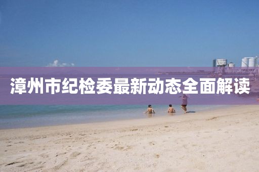 漳州市纪检委最新动态全面解读