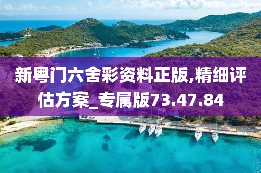 新粤门六舍彩资料正版,精细评估方案_专属版73.47.84
