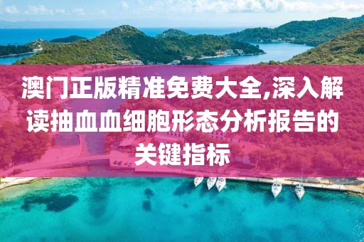 澳门正版精准免费大全,深入解读抽血血细胞形态分析报告的关键指标