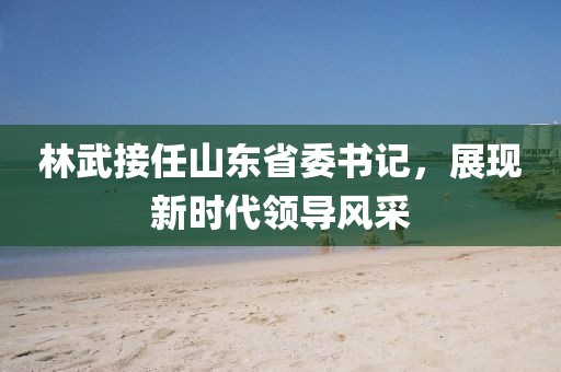 林武接任山东省委书记，展现新时代领导风采