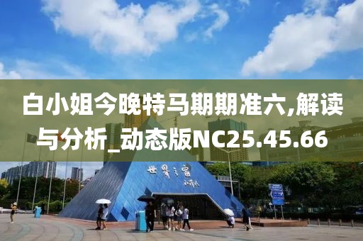 白小姐今晚特马期期准六,解读与分析_动态版NC25.45.66