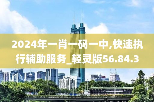2024年一肖一码一中,快速执行辅助服务_轻灵版56.84.3