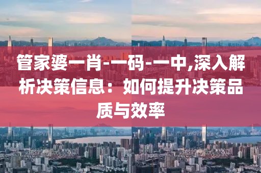 管家婆一肖-一码-一中,深入解析决策信息：如何提升决策品质与效率