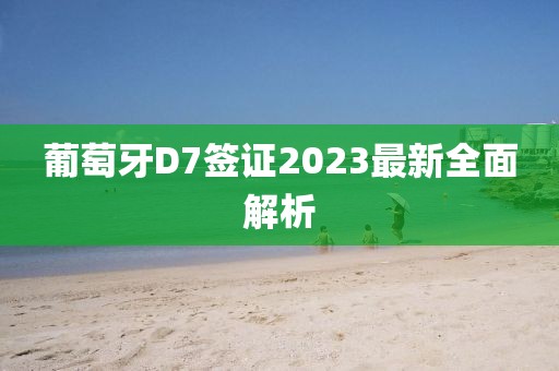 葡萄牙D7签证2023最新全面解析
