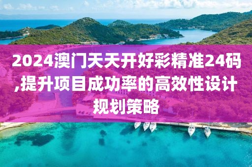2024澳门天天开好彩精准24码,提升项目成功率的高效性设计规划策略