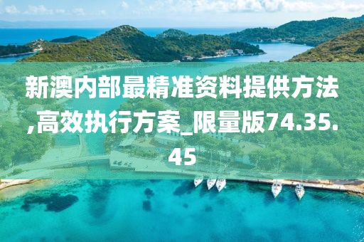 新澳内部最精准资料提供方法,高效执行方案_限量版74.35.45
