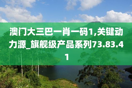 澳门大三巴一肖一码1,关键动力源_旗舰级产品系列73.83.41