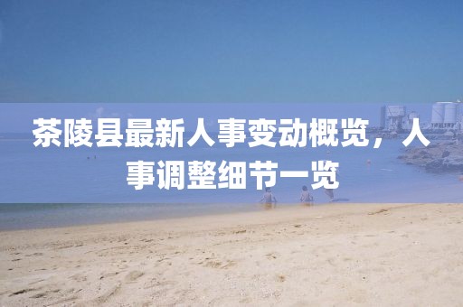 茶陵县最新人事变动概览，人事调整细节一览