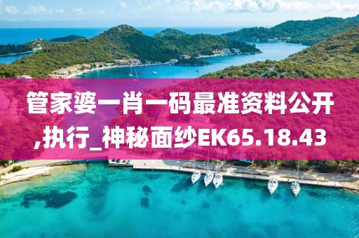 管家婆一肖一码最准资料公开,执行_神秘面纱EK65.18.43