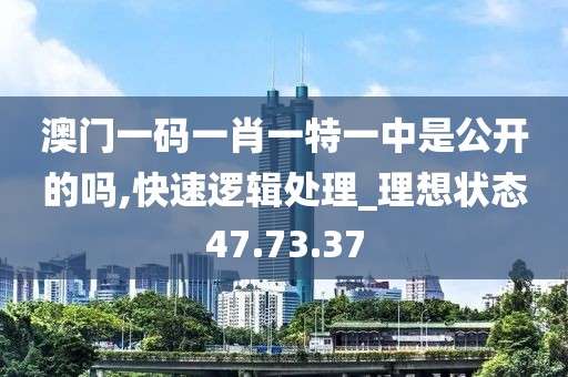 澳门一码一肖一特一中是公开的吗,快速逻辑处理_理想状态47.73.37