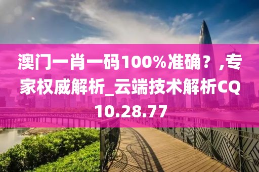 澳门一肖一码100%准确？,专家权威解析_云端技术解析CQ10.28.77
