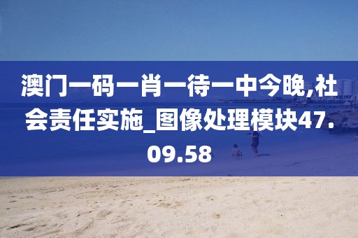 澳门一码一肖一待一中今晚,社会责任实施_图像处理模块47.09.58