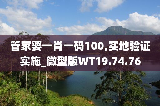 管家婆一肖一码100,实地验证实施_微型版WT19.74.76