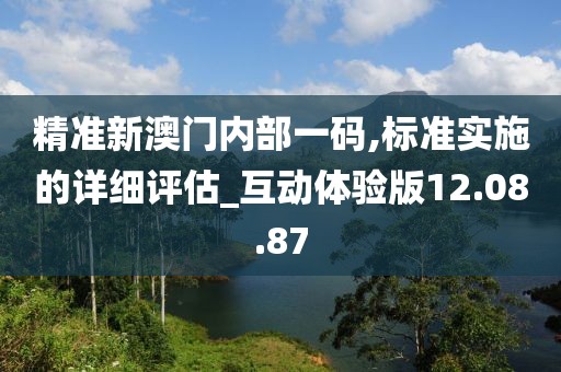 精准新澳门内部一码,标准实施的详细评估_互动体验版12.08.87