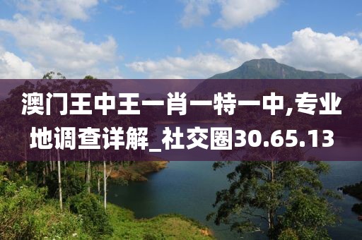 澳门王中王一肖一特一中,专业地调查详解_社交圈30.65.13