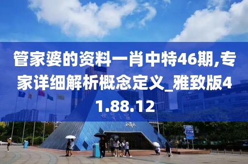 管家婆的资料一肖中特46期,专家详细解析概念定义_雅致版41.88.12