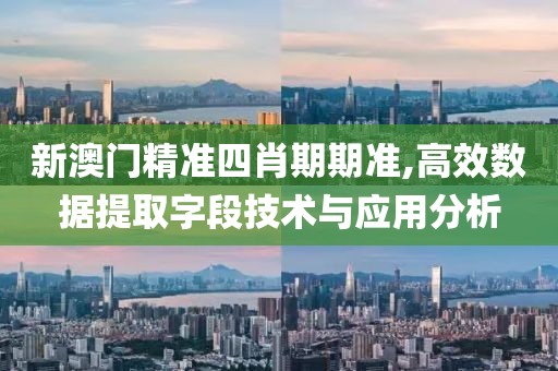 新澳门精准四肖期期准,高效数据提取字段技术与应用分析