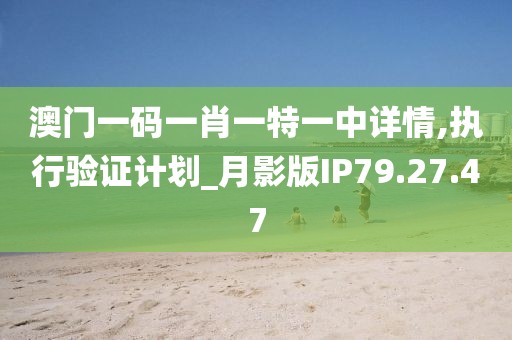 澳门一码一肖一特一中详情,执行验证计划_月影版IP79.27.47