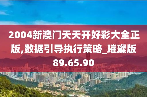 2004新澳门天天开好彩大全正版,数据引导执行策略_璀璨版89.65.90