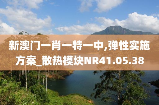 新澳门一肖一特一中,弹性实施方案_散热模块NR41.05.38