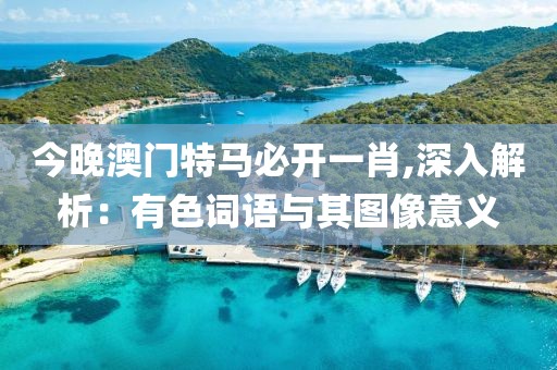 今晚澳门特马必开一肖,深入解析：有色词语与其图像意义