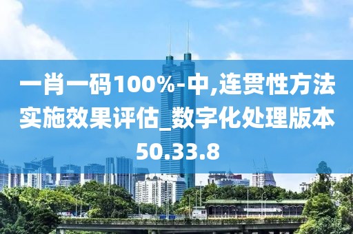 一肖一码100%-中,连贯性方法实施效果评估_数字化处理版本50.33.8