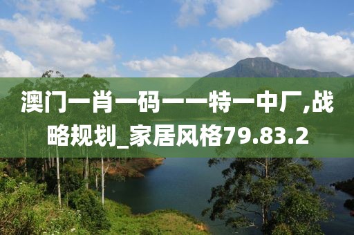 澳门一肖一码一一特一中厂,战略规划_家居风格79.83.2