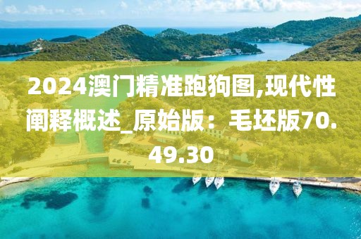 2024澳门精准跑狗图,现代性阐释概述_原始版：毛坯版70.49.30